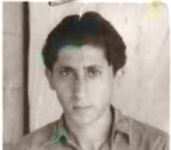 ריזמוביץ גיזה