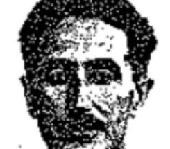 פרידמן אוטו