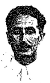 פרידמן אוטו