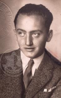 הרמן צבי שטיין