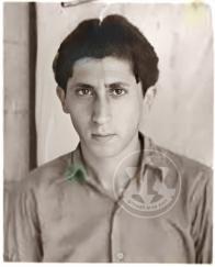 גיזה ריזמוביץ