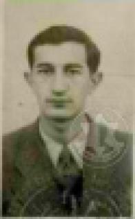 רוזנשטיין ארנו