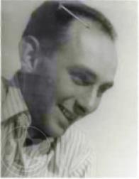 שורין היינץ